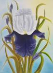 Bob Ross Iris